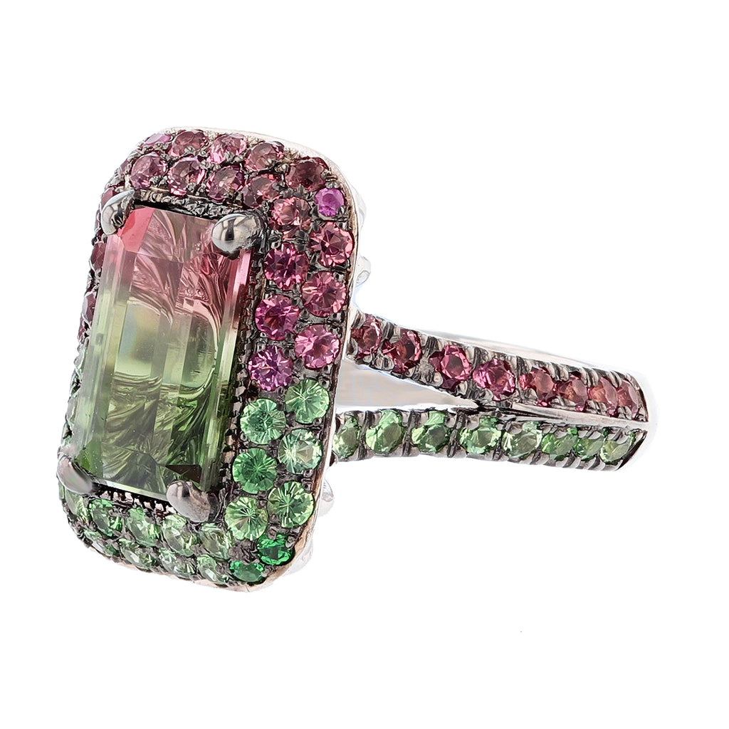 Watermelon Tourmaline, Pink Tourmaline, and Tsavorite Ring - Nazarelle